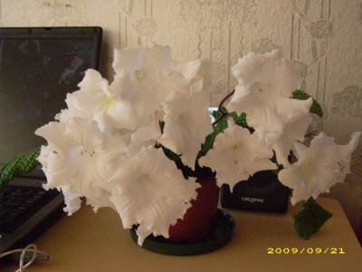 DSCI0616.JPG