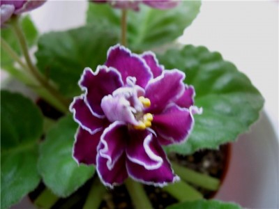 f041b09d14db.jpg