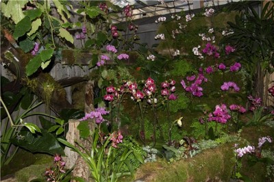 DSC_9582c.jpg