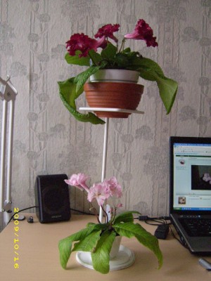 DSCI0790.JPG