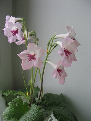 IMG_9030.jpg