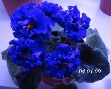 123110528894349858.jpg