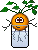 Plant :rastishka: